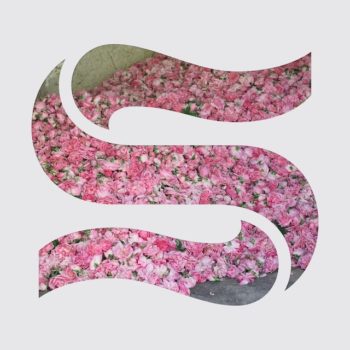 braxe and falcon - step by step (feat. panda bear)